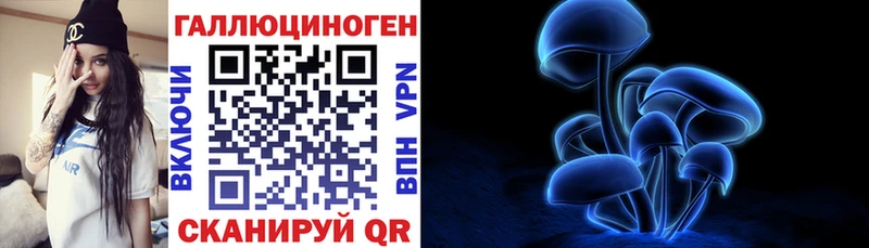 дарк нет клад  Сатка  Псилоцибиновые грибы мицелий 